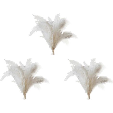 Herbe de la pampa blanche – 30 brins d'herbe de la pampa duveteux pour la décoration de mariages, de maisons et d'événements – herbe de la pampa séchée - JBMEDIA (1/4)