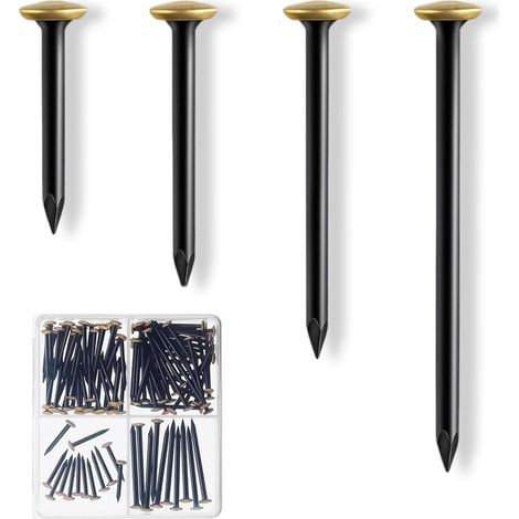 Lot de 120 clous en acier pour photos avec tête en laiton - Pour béton, brique, bois et plâtre - Avec boîte de rangement (1/5)