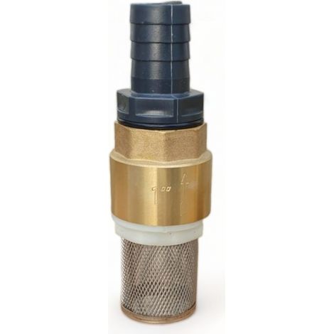 Clapet anti-retour laiton 1 pouce (25 mm) – Crépiné pour filtration – Maintien de l'eau pour pompes – Application irrigation rapide – Dunsch (1/3)