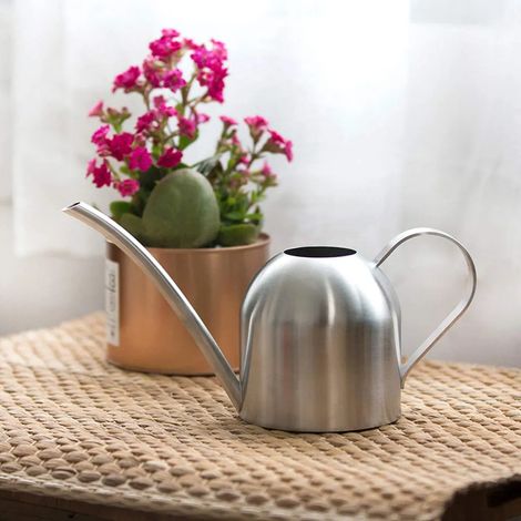 Filiyano-Arrosoir en acier inoxydable, arrosoir de 500 ml, arrosoir en métal pour plantes en pot, arrosoir de jardin, arrosoir à fleurs, argent (1/5)