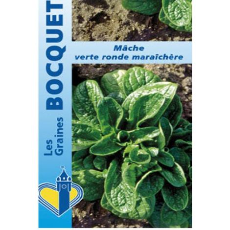 Mâche 'Ronde Maraîchère' le sachet de 3000 graines (4g) (1/2)