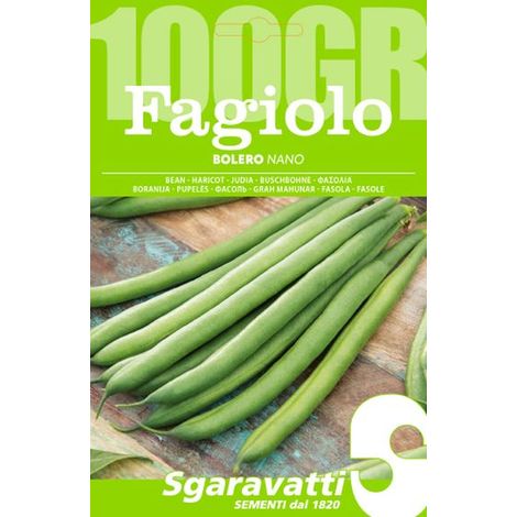 Semi per Fagioli Fagiolo Nano Bolero Sgaravatti 5 Pezzi 100 gr