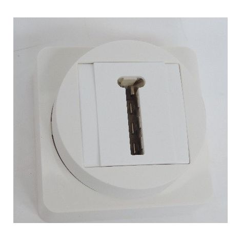 Prise téléphone conjoncteur T saillie blanche complète ATEHA HAGER WJC200 (1/3)