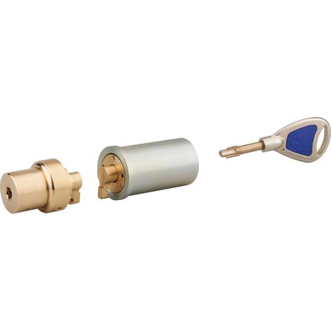 THIRARD - Cylindre adaptateur rond COBRA PLX, double entrée, 35x55mm, Ø 23 mm 3 clés (1/2)