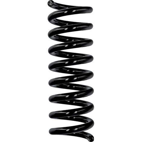 Muelle de serie Eibach ERL trasero Mercedes-Benz R10532 (1/2)