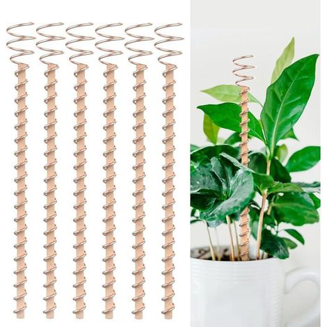 Lot de 6 tuteurs cuivre 30x2,8 cm – Antenne bobine – Électroculture – Pour jardin, plantes (1/5)