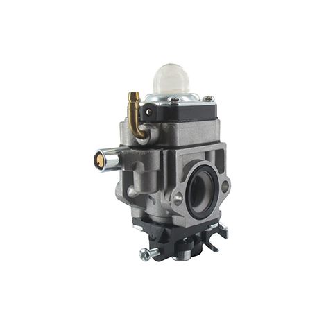 Carburateur Mtd