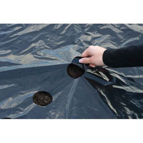 Film de paillage noir 0,95 x 5 m – 175 trous pré-perforés – Traité anti-UV – Limite l'évaporation et le développement des mauvaises herbes – Nature (1/7)