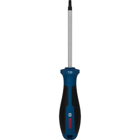 Bosch Schraubendreher TX25 x 100 mm - 1600A039TD (1/4)