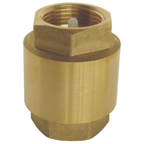 Clapet anti-retour laiton FF1''(26/34) Pn12 Le lot de 10 (1/2)