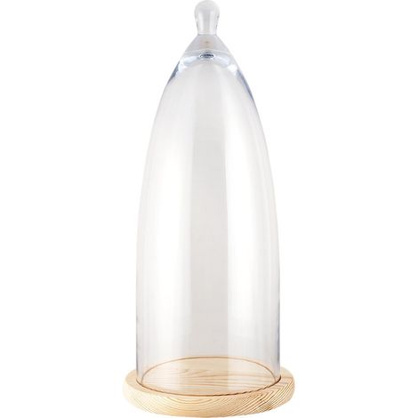 Cloche de Présentation en Verre avec Socle en Bois pour Décoration Intérieure 24 x 56 cm - PANGIVO (1/2)