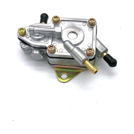 Pompes à carburant adaptées aux motos, aux motos à quatre roues et aux véhicules tout-terrain (260cc, 300cc), compatibles avec les modèles D300, H300 et G300. (1/3)