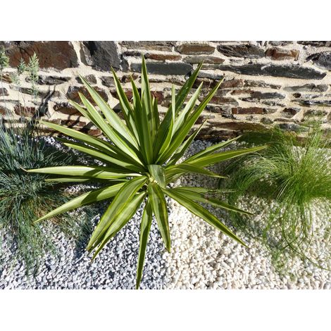 Galet Gris Clair 6-12 Pack de 10 M² - 20 sacs - 400 kg
