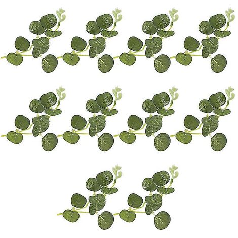 20 eucalyptus artificiels (1/3)