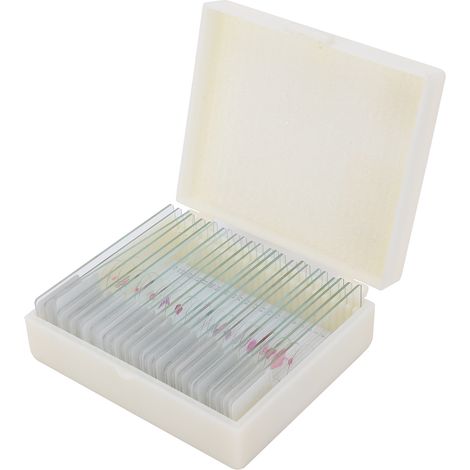 Lot de 25 lames de microscope animalières DW‑25, spécimens éducatifs pour la science. (1/5)