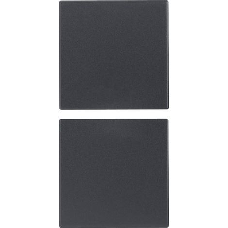 VIMAR - 20751.0 Zwei 1M feste neutrale Halbtasten, grau
