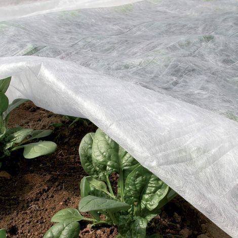 3x10 m Blanc, Voile d'Hivernage pour Plantes et Cultures, en Tissu Non Tissé 30 g/m², Protège les Plantes, Fleurs et Légumes du Froid, du Gel et du Vent (1/5)