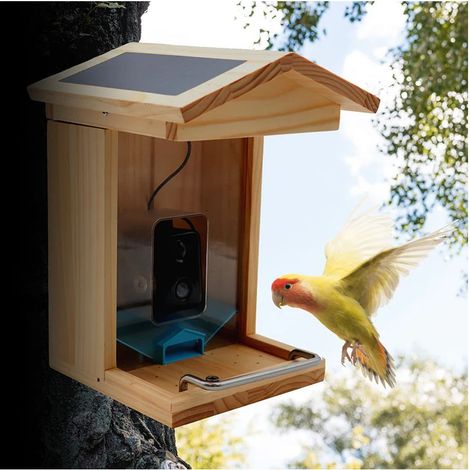 Croci Mangiatoia Smart Per Uccelli Wi-Fi (1/5)