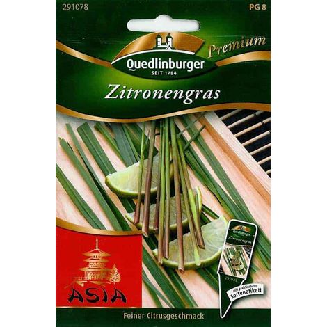 Quedlinburger Zitronengras - Kräutersamen (1/2)