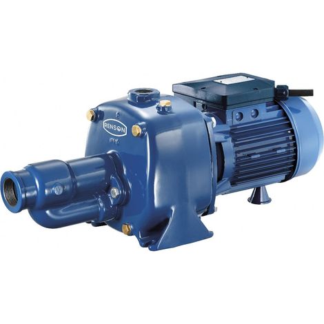 POMPE TRI FONTE 1,65KW BICELLULAIRE - RCT200P RENSON (1/2)