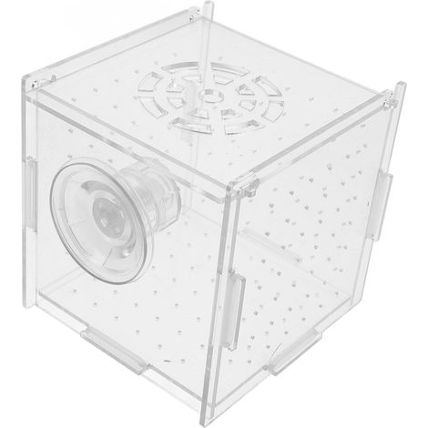 Boîte de Séparation Acrylique pour Aquarium et Écloserie avec Ventouses pour et Isolement des Poissons (1/5)