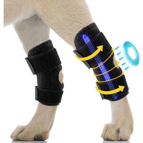 Ceinture de maintien des pattes arrière du chien (1/5)