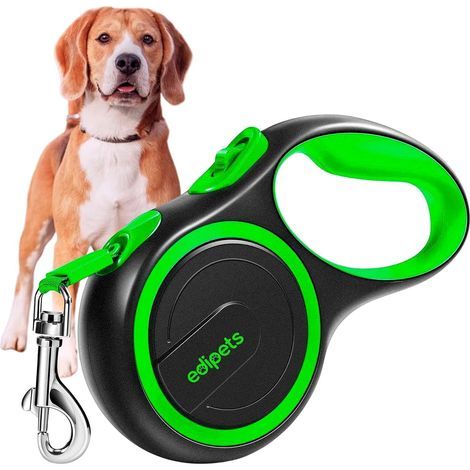 Laisse Chien, Enrouleur, Rétractable, 5 et 8 Mètres, Laisse Flexible pour Le Dressage et la Promenade (Vert, 8 mètres) (1/5)