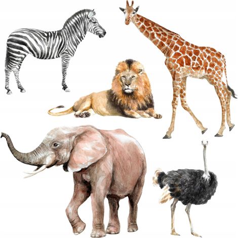 Adesivi decorativi per bambini - Savannah M (1/4)