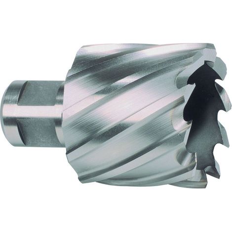RUKO  Broca  anular  Weldon  HSS-Co  5  ComPact  Ø  19  mm  -  108219E