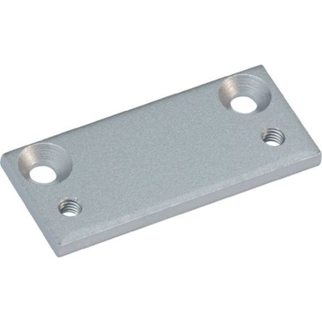dormakaba  placa  bisagra  plata  TS73  V/TS  83  -  83001401 (1/2)