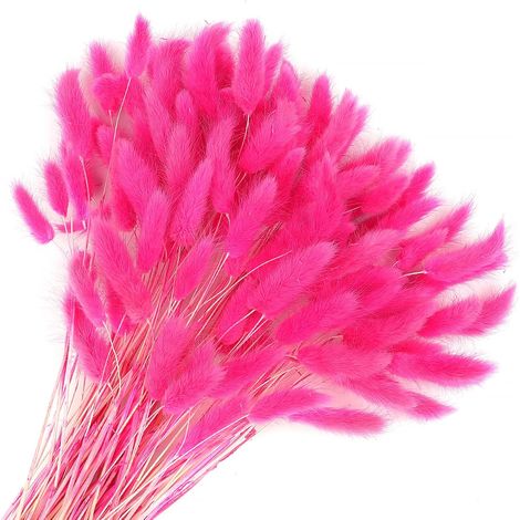 120 Pièces Fleurs SéChéEs Queues De Lapin Herbe De Queue De Lapin pour Fleurs SéChéEs Herbe De Queue De Lapin Séchée pour Décoration De Maison Mariage (Rose Rouge) (1/5)