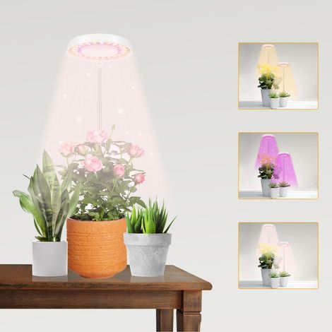 Lampe de croissance LED, lampe halo pour plantes d'intérieur, lumière blanche tamisée pour la croissance des plantes succulentes et des petites plantes.-AquaForge (1/3)