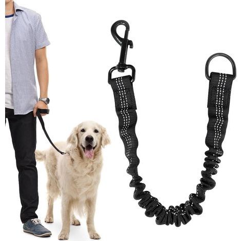 Laisse Chien Amortisseur Élastique 30 70cm Laisse Courte Nylon avec Fil Réfléchissant Anti Chocs pour Chiens Moyens/Grands, Vélo Et Randonnée (1/5)