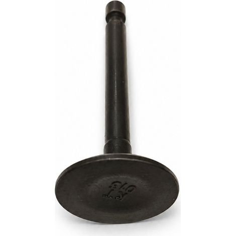 Valvula Admision compatible con Sr1P65F  Ref 974570