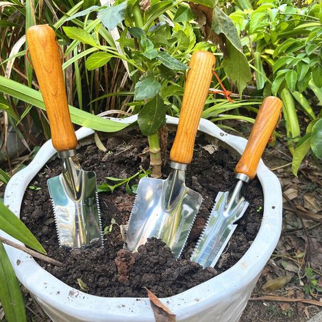 Outil de désherbage Manuel avec poignée en Bois et tête en Acier Inoxydable avec Mesure, extracteur de désherbage pour désherber, Planter des légumes, des Fleurs, Creuser, élager 3 pièces (1/4)
