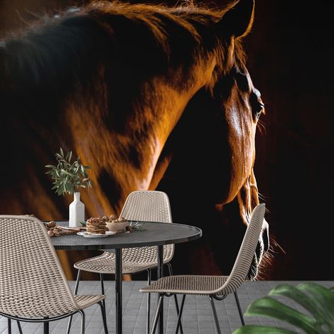 Papier peint panoramique - Cheval - 130 cm x 86 cm (1/4)