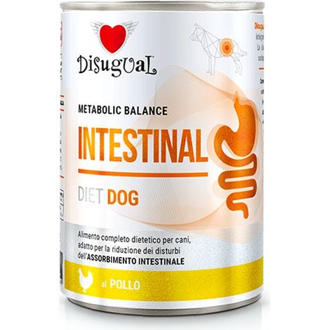 DISUGUAL Diet dog intestinal pollo 400gr