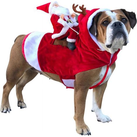 Vetement Chien - Pull Noel Rouge Pour Chiens - Costume Fete Hiver - Tailles S a XXL - Pour Chihuahua Pug et Races Similaires (1/5)