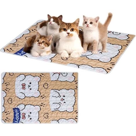2 tapis lavables pour chiots, petits tapis d'apprentissage réutilisables, antidérapants, 60 x 45 cm (1/4)
