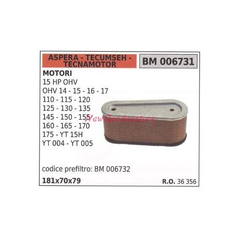 Filtro de aire ASPERA motor cortacésped 15 CV OHV 14 15 006731