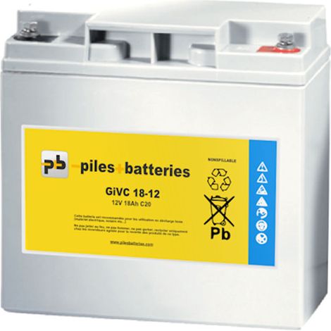 Batterie plomb gel 12V 18Ah M5 DGY12-18EV (1/2)