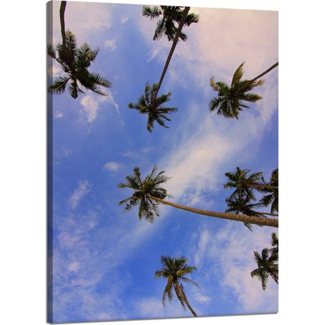 Lienzo impreso Naturaleza Palmeras de coco 50x70 cm