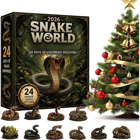 Calendario dell'Avvento 2D in acrilico 2D 2026 - 24 giorni - Decorazioni a forma di serpente (1/5)