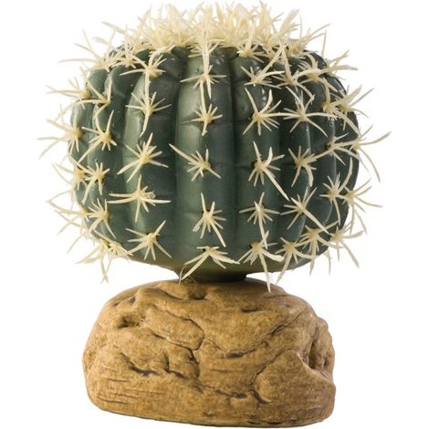Exo Terra - Cactus, Piccolo
