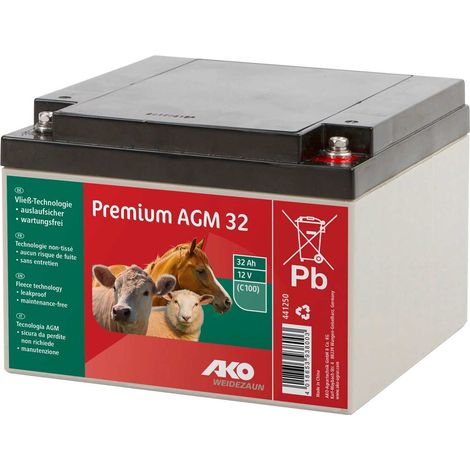 Batteria AGM 12 V 32 Ah
