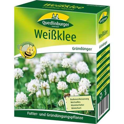 Quedlinburger Saatgut – Trèfle blanc – Engrais vert, boîte pliante 500 g pour env. 100 m², hauteur env. 10 cm (1/2)