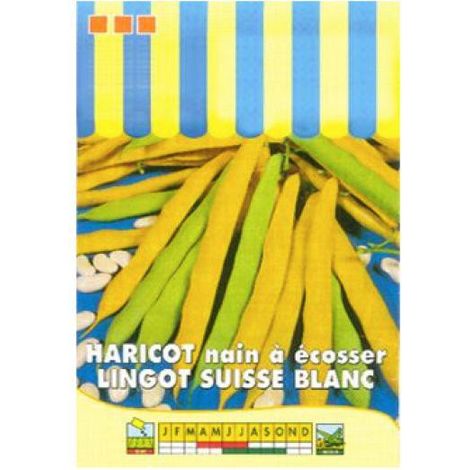 Haricot nain à écosser 'Lingot suisse blanc' le sachet de 100 graines (100g)