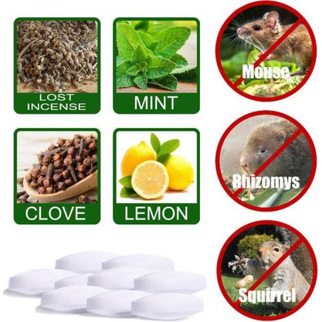 Boules Anti-Souris - Formule Végétale à Base de Menthe Poivrée et Gingembre - Pour Entrepôt Cuisine Garage Cave - 60 Pièces (1/5)