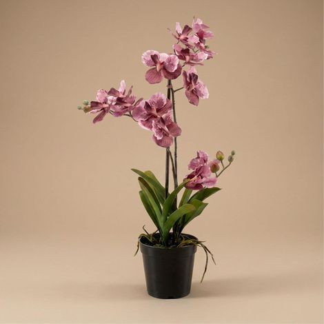Orchidée Vanda Artificielle avec Pot Plante Décorative Intérieur Vieux Rose 60 cm - PANGIVO (1/5)