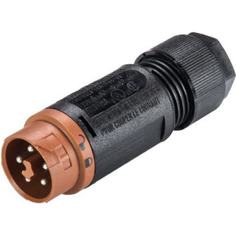 Stecker Wieland-electric RST® MINI 16 A 50 V 120 V